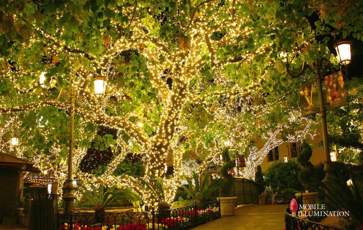 Tree Wrapping and Tree Lighting Mobile Illumination